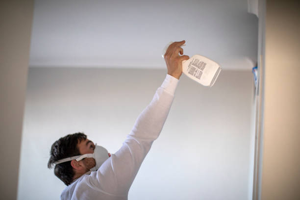 Best Attic Mold Removal  in Marshall, VA