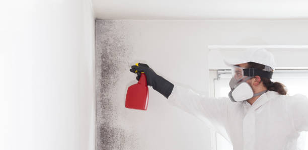Best Commercial Mold Removal  in Marshall, VA