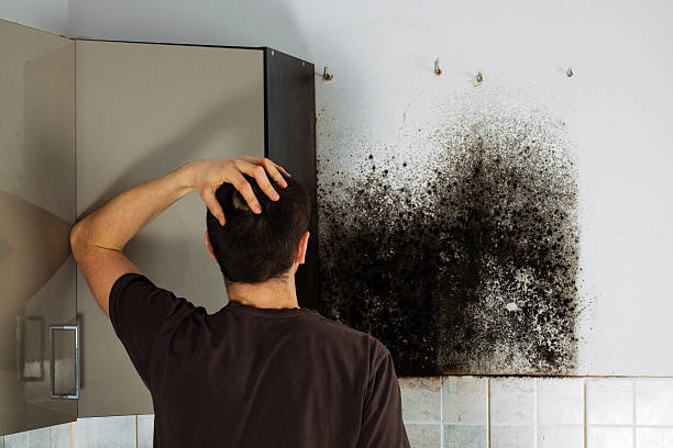 Best Mold Cleaning Services  in Marshall, VA